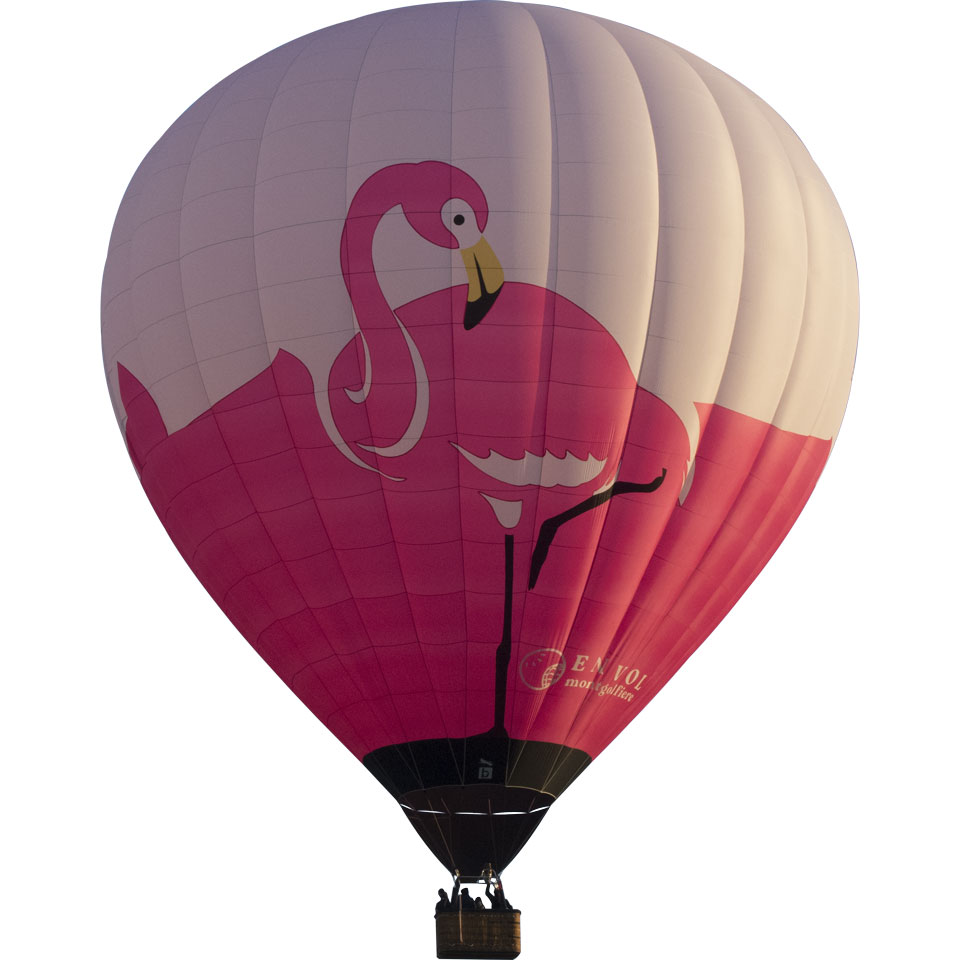 montgolfière Flamant rose