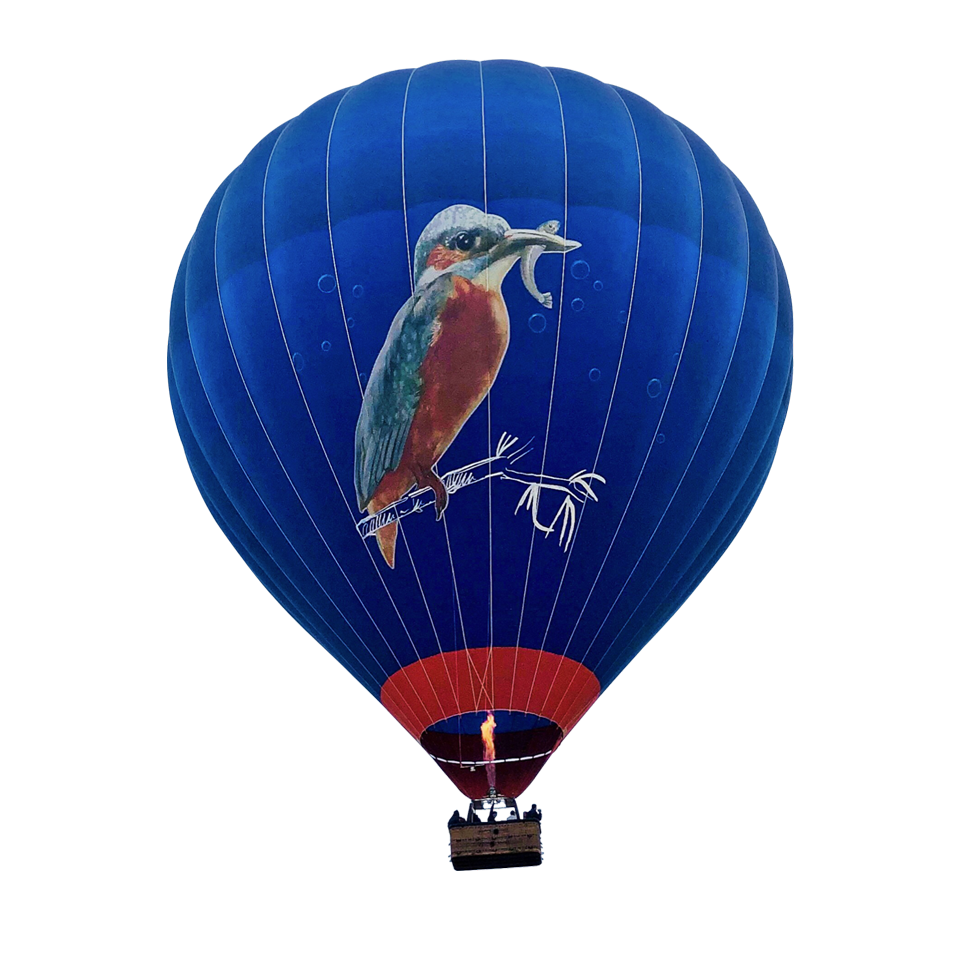 Envol montgolfière; montgolfière martin pêcheur